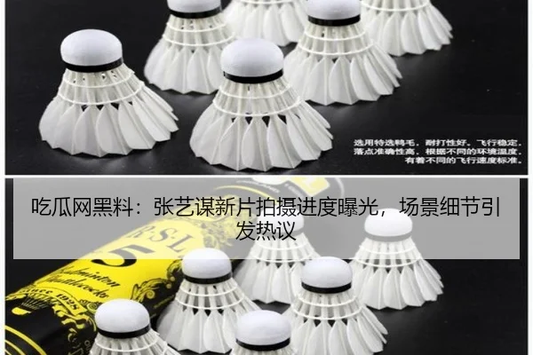 吃瓜网黑料：张艺谋新片拍摄进度曝光，场景细节引发热议
